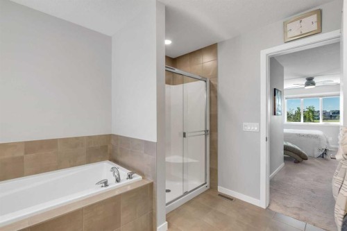 29 Masters Terrace Se, Calgary, AB - Indoor Photo Showing Bathroom