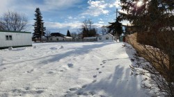 111 Main  Hay Lakes, AB T0B 1W0