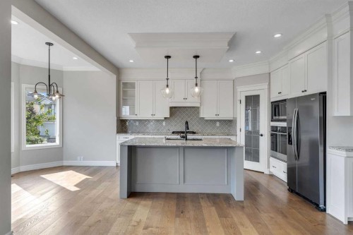 202 Coral Reef Manor Ne, Calgary, AB - Indoor Photo Showing Kitchen With Upgraded Kitchen