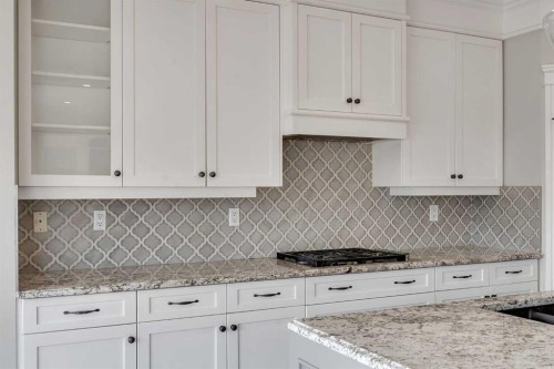 202 Coral Reef Manor Ne, Calgary, AB - Indoor Photo Showing Kitchen With Upgraded Kitchen