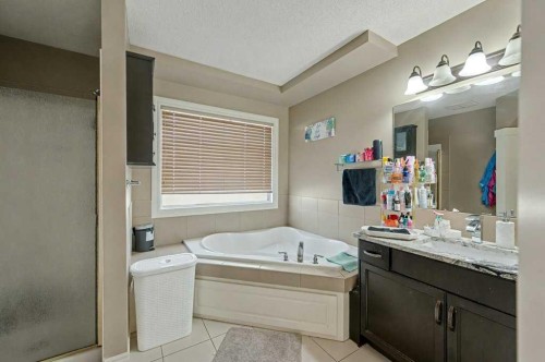 91 Panatella Close Nw, Calgary, AB - Indoor Photo Showing Bathroom