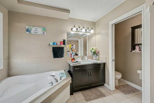 91 Panatella Close Nw, Calgary, AB - Indoor Photo Showing Bathroom