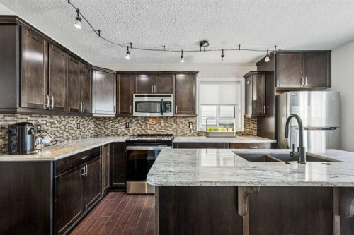 22 Hunterhorn Crescent Ne, Calgary, AB - Indoor Photo Showing Kitchen With Upgraded Kitchen