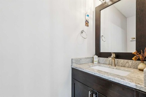 22 Hunterhorn Crescent Ne, Calgary, AB - Indoor Photo Showing Bathroom