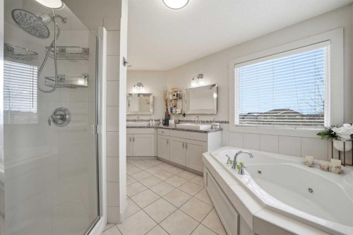 65 Sage Hill Landing Nw, Calgary, AB - Indoor Photo Showing Bathroom