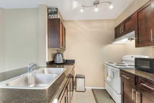 215-355 Taralake Way Ne, Calgary, AB - Indoor Photo Showing Kitchen With Double Sink