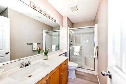 677 Regal Park Ne, Calgary, AB - Indoor Photo Showing Bathroom