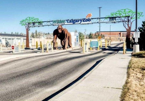 677 Regal Park Ne, Calgary, AB - Outdoor