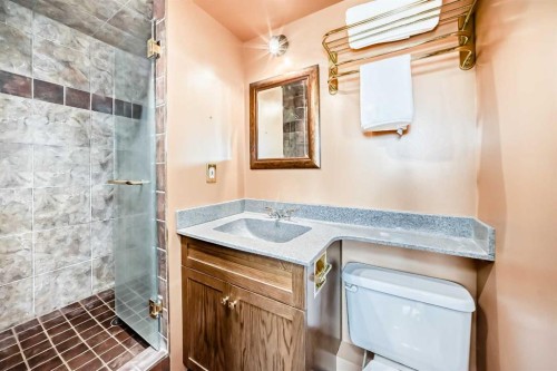 201-512 Cedar Crescent Sw, Calgary, AB - Indoor Photo Showing Bathroom