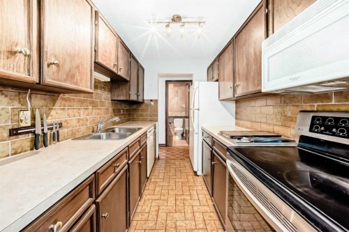 201-512 Cedar Crescent Sw, Calgary, AB - Indoor Photo Showing Kitchen With Double Sink