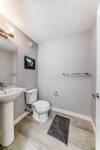 111 Redstone Crescent Ne, Calgary, AB - Indoor Photo Showing Bathroom
