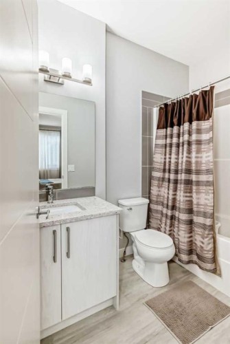 111 Redstone Crescent Ne, Calgary, AB - Indoor Photo Showing Bathroom