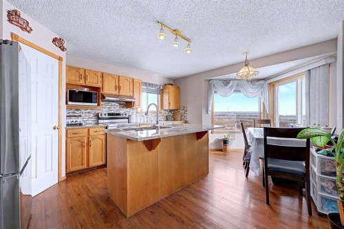 433 Coral Springs Place Ne, Calgary, AB - Indoor Photo Showing Kitchen With Double Sink