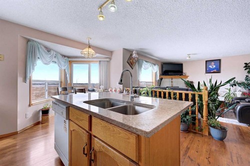 433 Coral Springs Place Ne, Calgary, AB - Indoor Photo Showing Kitchen With Double Sink