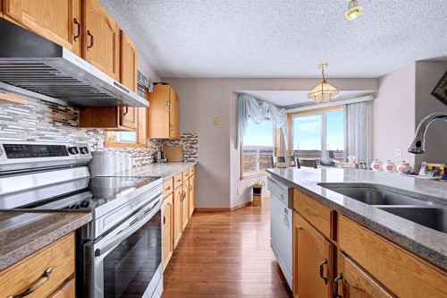 433 Coral Springs Place Ne, Calgary, AB - Indoor Photo Showing Kitchen With Double Sink