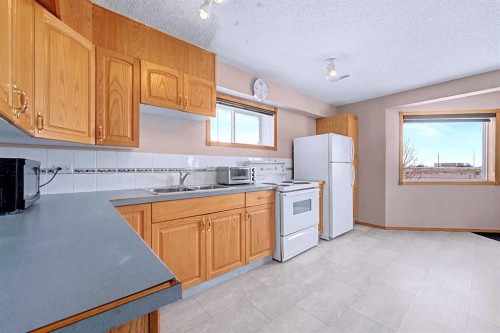 433 Coral Springs Place Ne, Calgary, AB - Indoor Photo Showing Kitchen With Double Sink