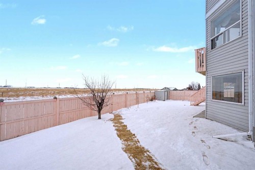 433 Coral Springs Place Ne, Calgary, AB - Outdoor