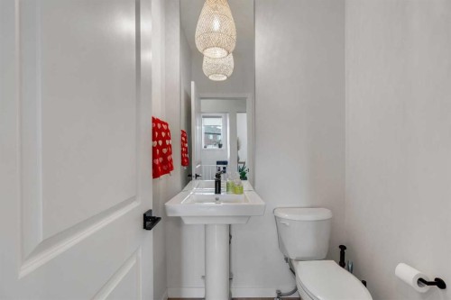 52 Sugarsnap Way Se, Calgary, AB - Indoor Photo Showing Bathroom