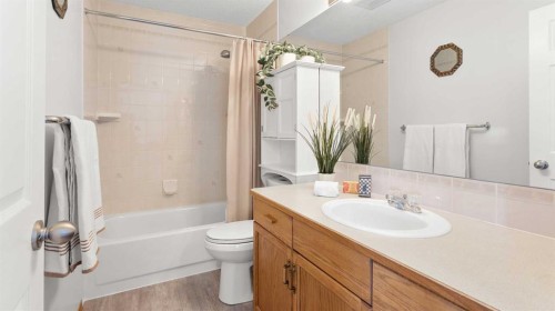 323 Mt Cornwall Circle Se, Calgary, AB - Indoor Photo Showing Bathroom
