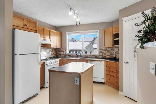 440 Prestwick Circle Se, Calgary, AB - Indoor Photo Showing Kitchen With Double Sink
