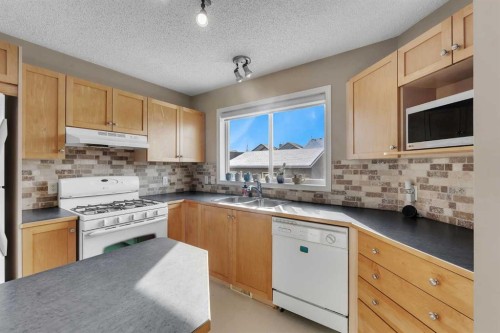 440 Prestwick Circle Se, Calgary, AB - Indoor Photo Showing Kitchen With Double Sink