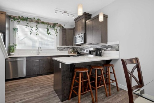 62 Skyview Ranch Avenue Ne, Calgary, AB - Indoor Photo Showing Kitchen With Upgraded Kitchen