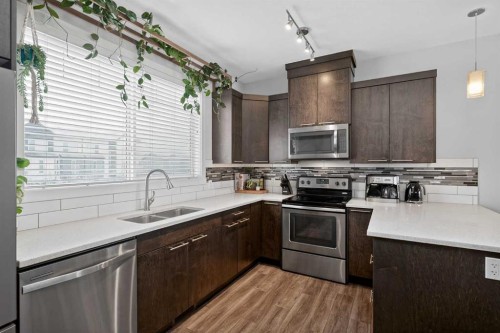 62 Skyview Ranch Avenue Ne, Calgary, AB - Indoor Photo Showing Kitchen With Stainless Steel Kitchen With Double Sink