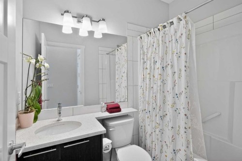 62 Skyview Ranch Avenue Ne, Calgary, AB - Indoor Photo Showing Bathroom
