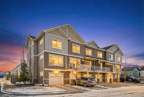 62 Skyview Ranch Avenue Ne, Calgary, AB - Outdoor