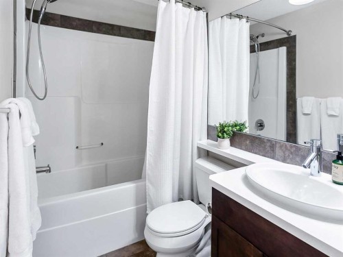 60 Auburn Glen Green Se, Calgary, AB - Indoor Photo Showing Bathroom