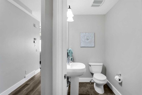 60 Auburn Glen Green Se, Calgary, AB - Indoor Photo Showing Bathroom