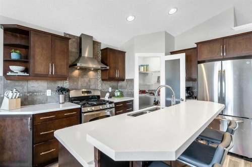 60 Auburn Glen Green Se, Calgary, AB - Indoor Photo Showing Kitchen With Stainless Steel Kitchen With Double Sink With Upgraded Kitchen