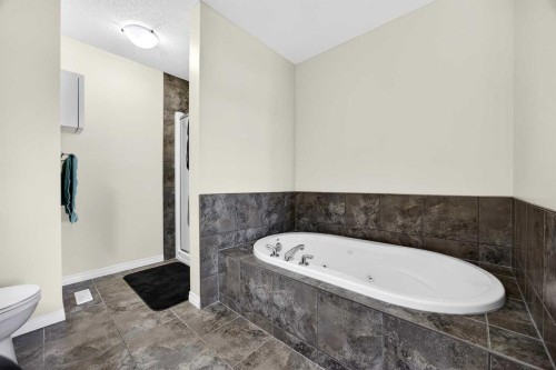 46 Heritage Landing, Cochrane, AB - Indoor Photo Showing Bathroom