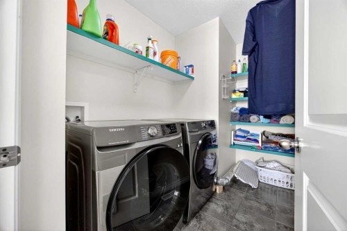 46 Heritage Landing, Cochrane, AB - Indoor Photo Showing Laundry Room