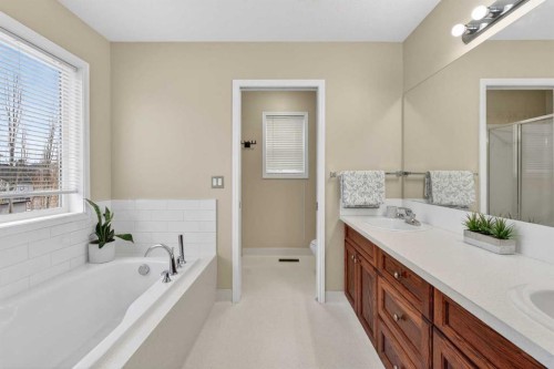133 Cimarron Drive, Okotoks, AB - Indoor Photo Showing Bathroom
