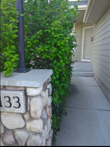 133 Cimarron Drive, Okotoks, AB - Outdoor