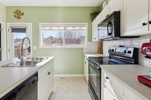 165 Cranford Drive Se, Calgary, AB - Indoor Photo Showing Kitchen With Double Sink