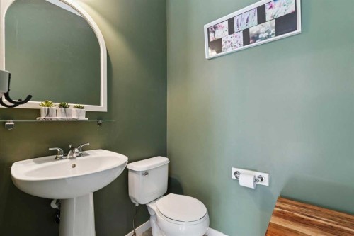 165 Cranford Drive Se, Calgary, AB - Indoor Photo Showing Bathroom