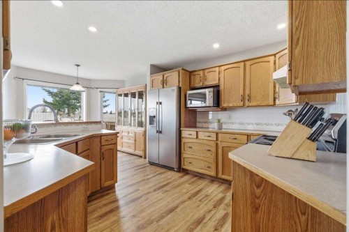 105 Douglas Ridge Circle Se, Calgary, AB - Indoor Photo Showing Kitchen With Double Sink