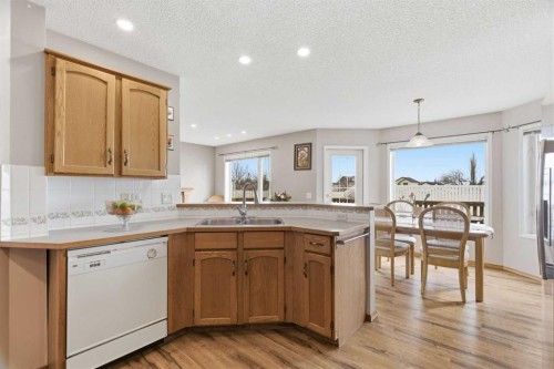 105 Douglas Ridge Circle Se, Calgary, AB - Indoor Photo Showing Kitchen With Double Sink