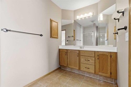 105 Douglas Ridge Circle Se, Calgary, AB - Indoor Photo Showing Bathroom