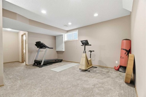 105 Douglas Ridge Circle Se, Calgary, AB - Indoor Photo Showing Gym Room