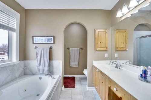 251 Lakeview Cove, Chestermere, AB - Indoor Photo Showing Bathroom