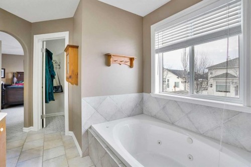 251 Lakeview Cove, Chestermere, AB - Indoor Photo Showing Bathroom