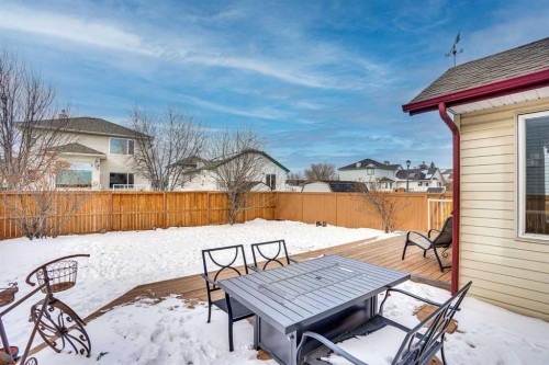 251 Lakeview Cove, Chestermere, AB - Outdoor