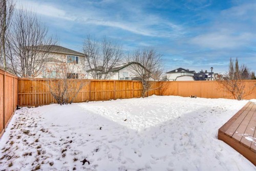 251 Lakeview Cove, Chestermere, AB - Outdoor