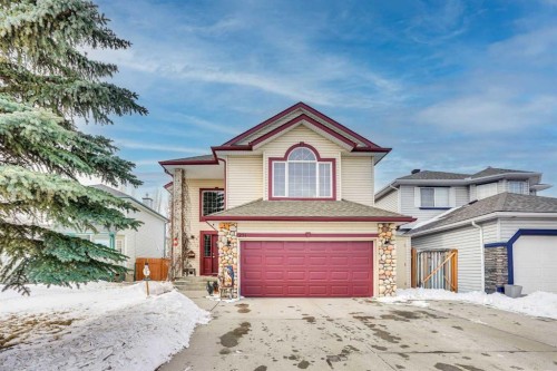 251 Lakeview Cove, Chestermere, AB - Outdoor