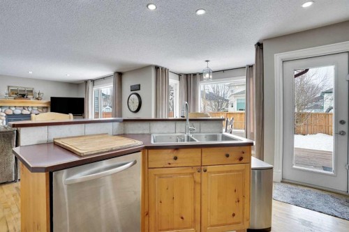 251 Lakeview Cove, Chestermere, AB - Indoor Photo Showing Kitchen With Double Sink