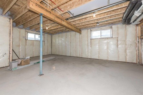 315 Waterford Road, Chestermere, AB - Indoor Photo Showing Basement