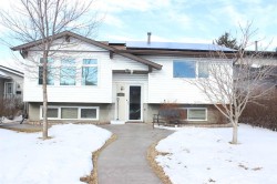 36 Whitnel Place NE Calgary, AB T1Y 4J4